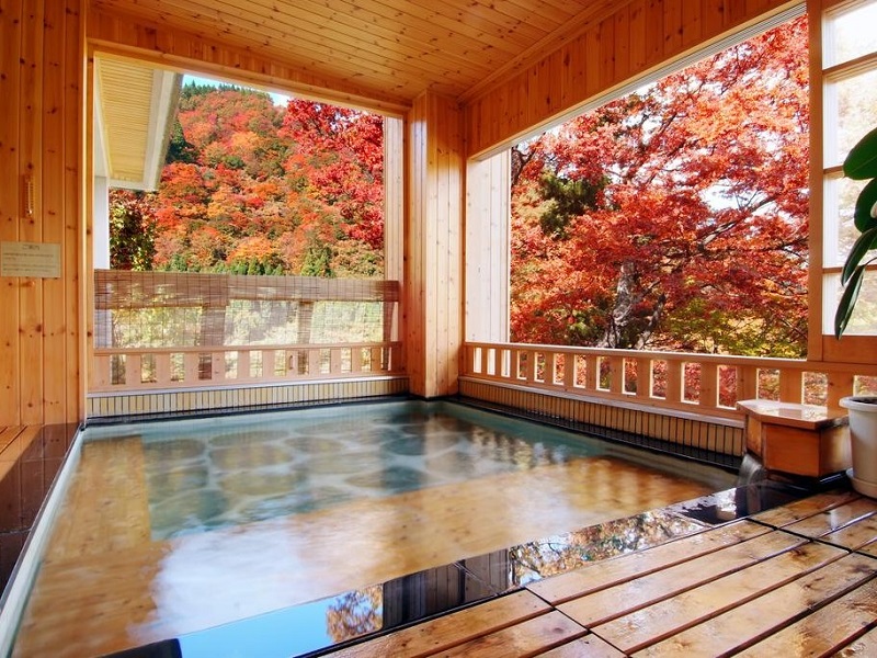 新潟県のおすすめ観光スポット 佐渡島や弥彦神社 越後湯沢温泉 ツナグ旅旅行業界で働く人のブログ