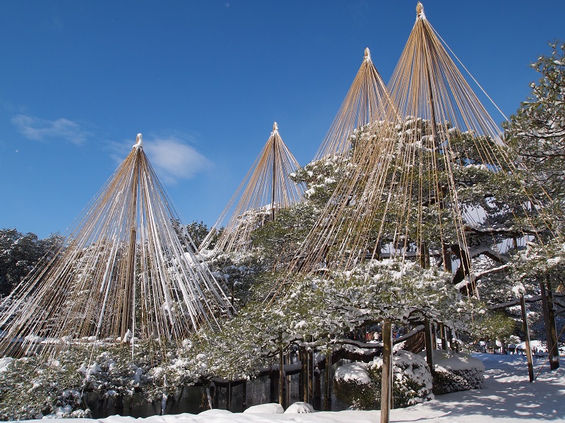 雪吊り