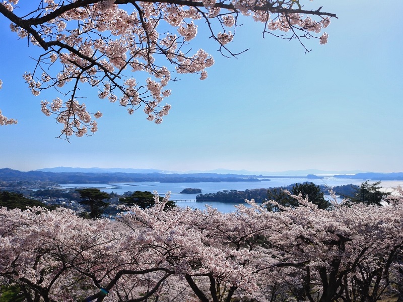 仙台へ行こう カップル向けの温泉旅館の宿泊は安い ツナグ旅旅行業界で働く人のブログ