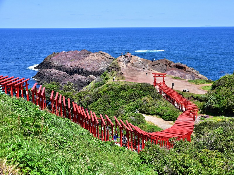 山口県へ観光に行こう！あの赤い鳥居がいっぱいの神社はどこ？！